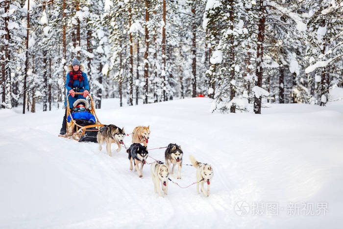 关于狗拉雪橇比赛,激情冬日运动体验的信息 关于狗拉雪橇比赛,激情冬日运动体验的信息