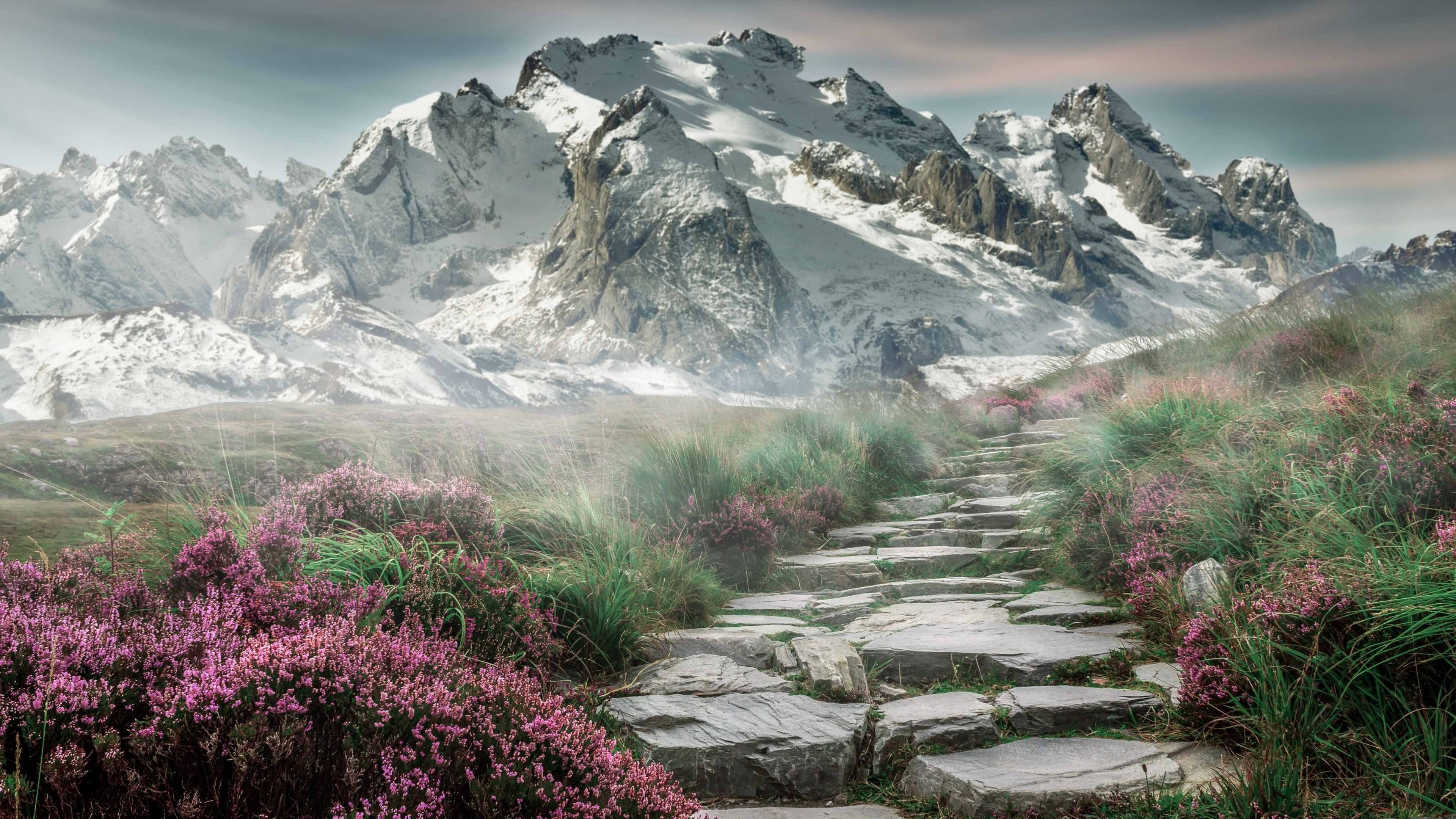 WRC紧张排位：谁能占据有利位置？，wrc比赛规则