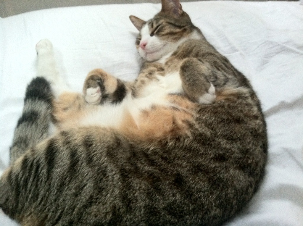 “英超争夺战失误频发,榜首格局摇摆不定”,“英超”