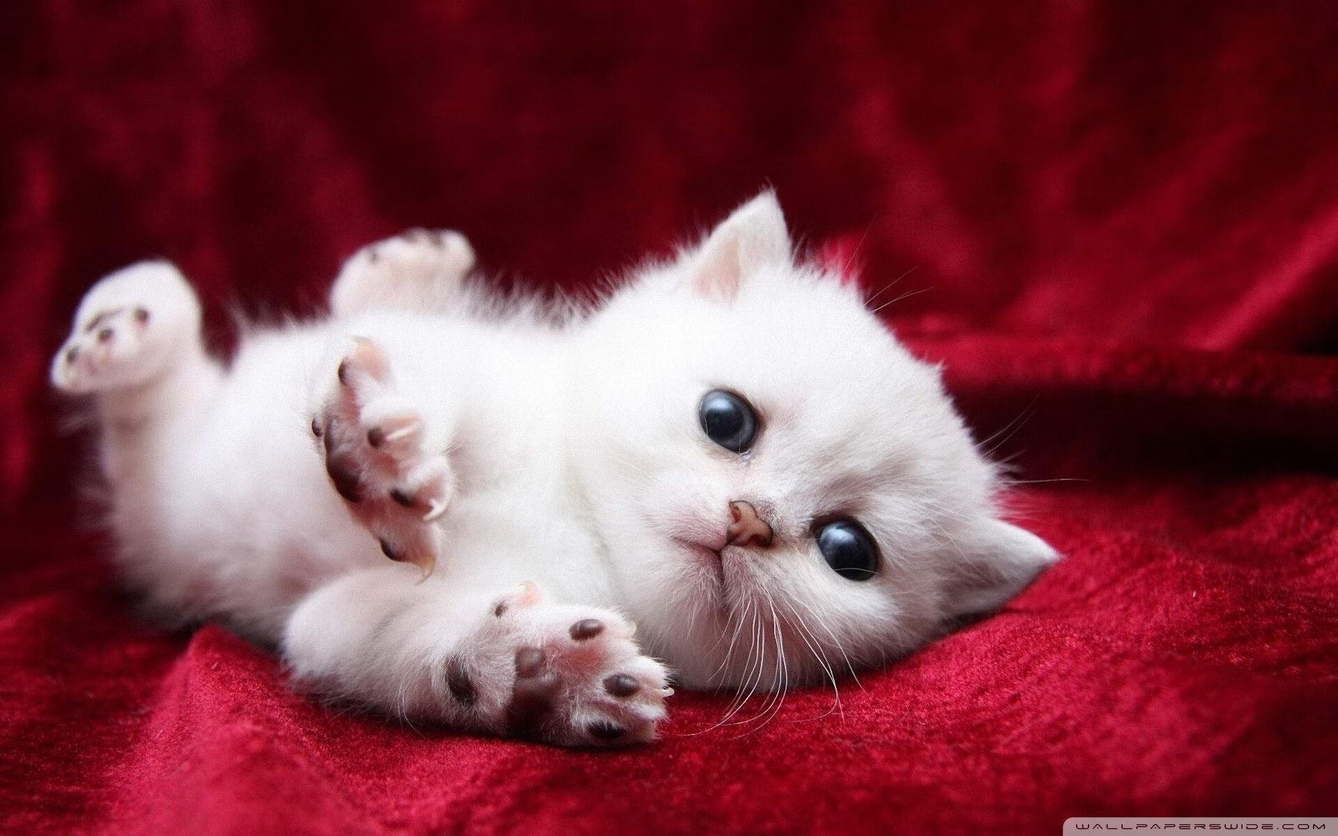 【训练实录】奥沙利文:每日练习中的攻守转换练习法,奥沙利文防守