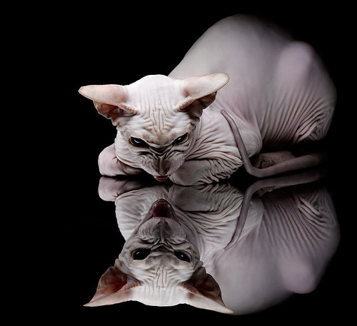 开云网站-【训练心得】避免犯规的实战技巧指导，如何避免违反规则