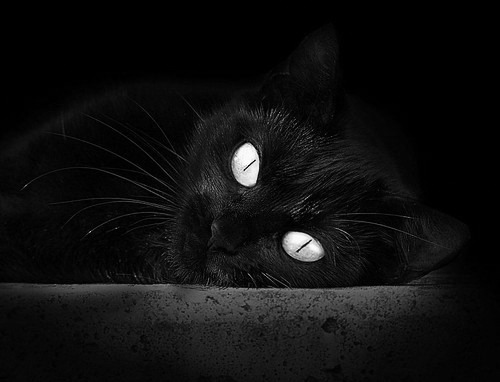 哈登开设个人酒庄,跨界商业版图持续扩大,哈登夜店回归训练 视频