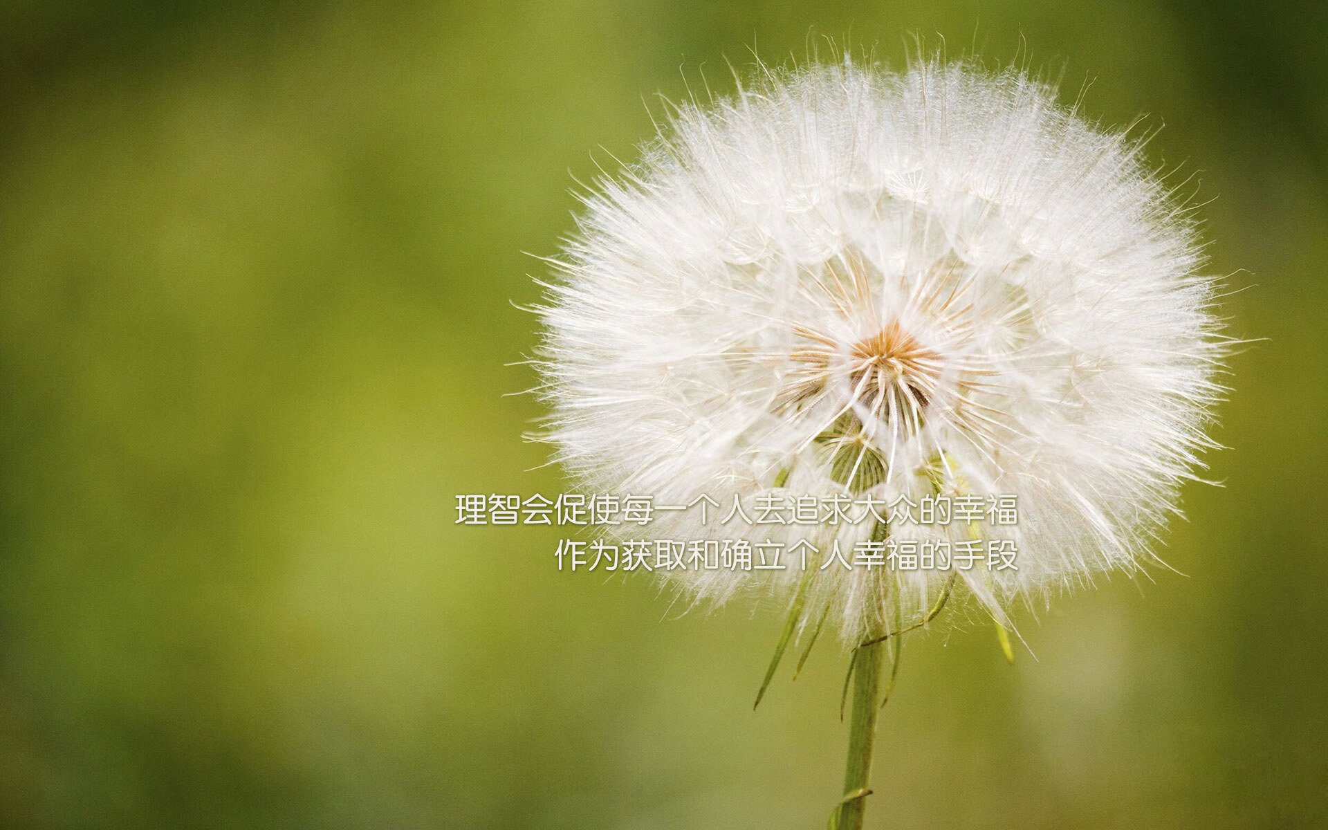 沙尘与泥泞中的王者争霸:WRC最艰难赛段全景剖析