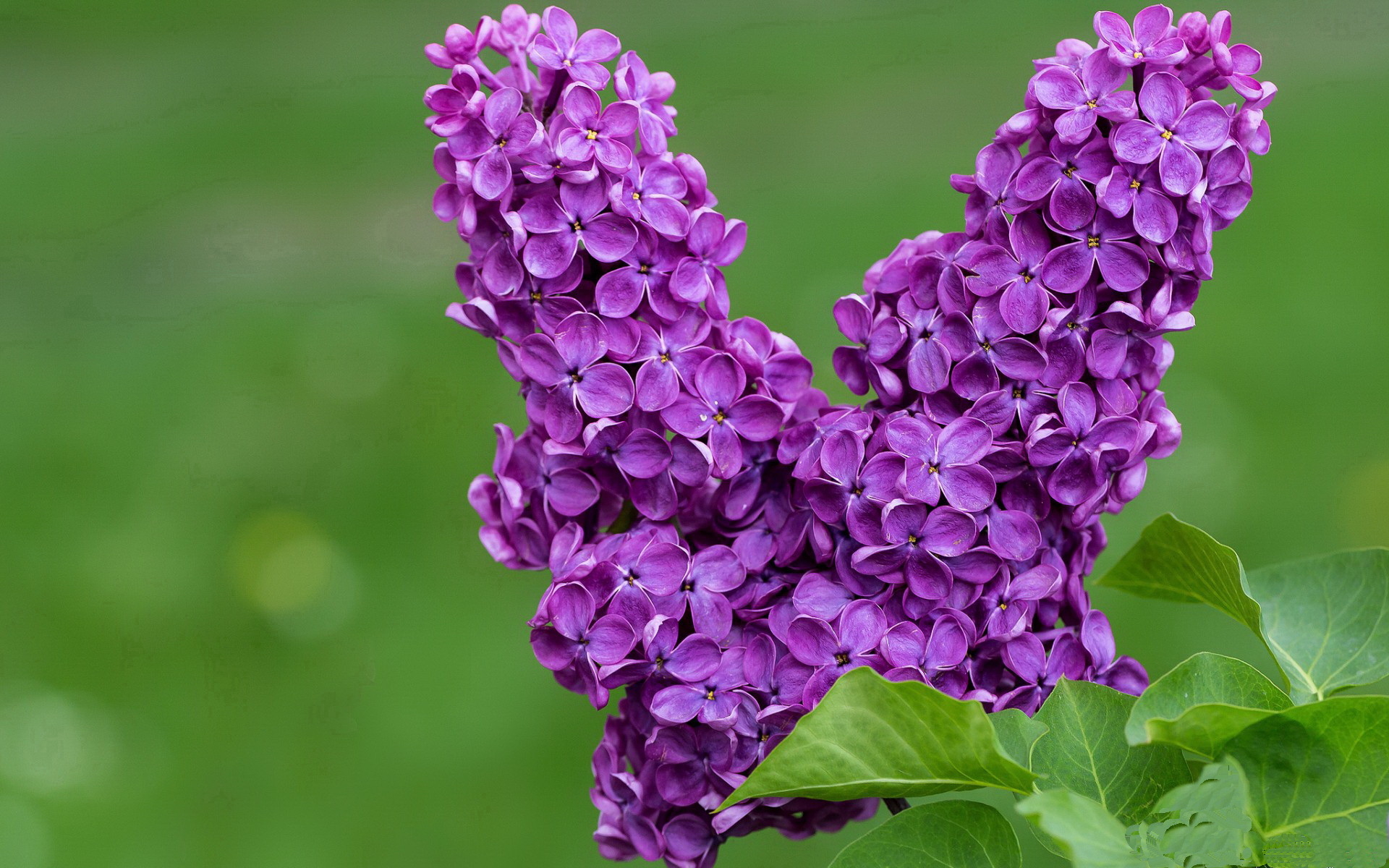 kaiyun官方入口登录-特色骑马摄影赛，运动与文化的完美结合，马术 骑马 摄影