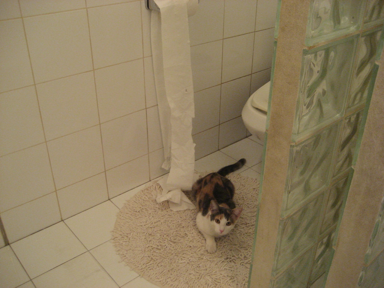 科比单场81分,三十年前的奇迹至今难忘!,科比单场81分数据统计