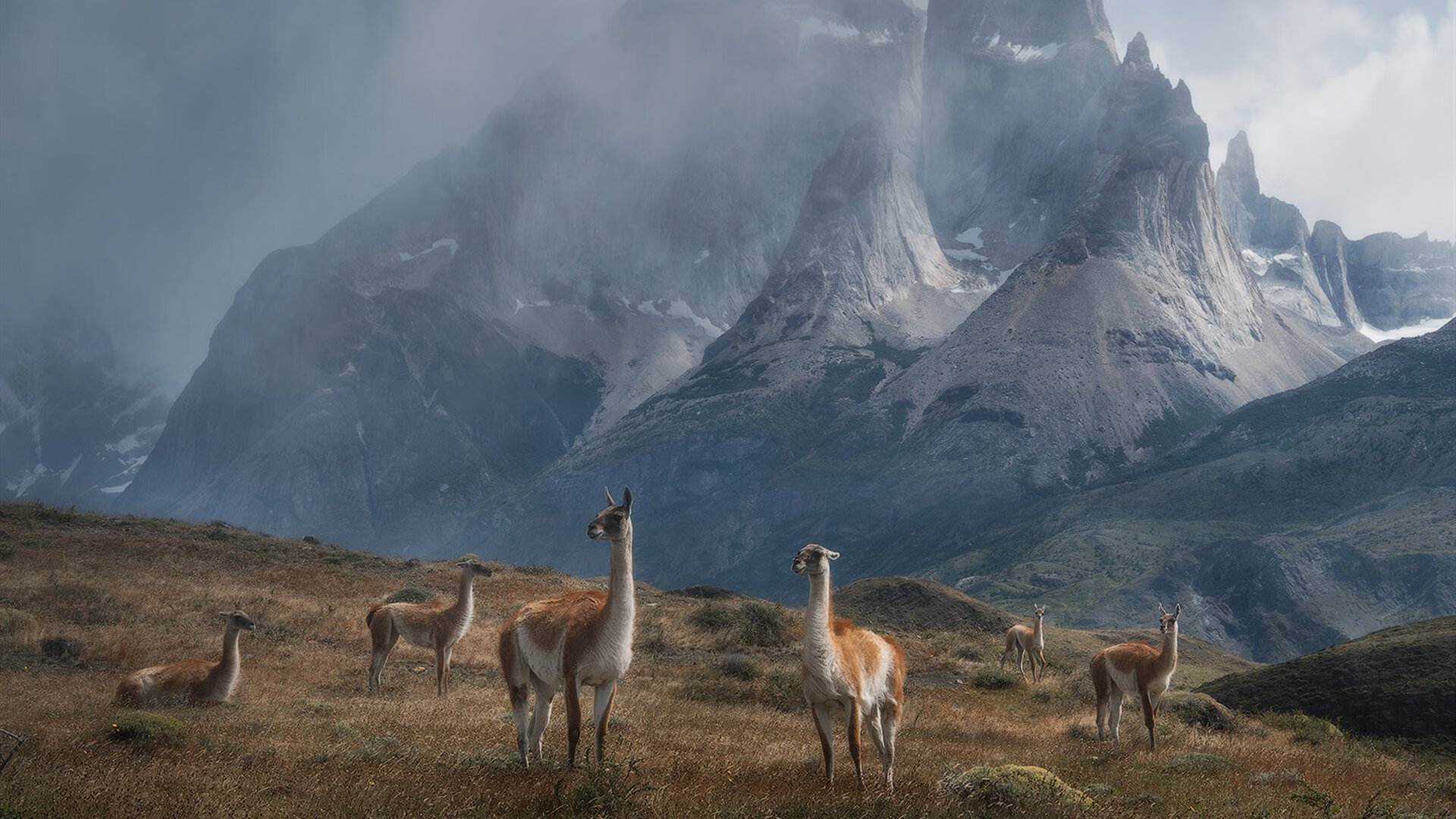 美国队在巴黎奥运会比赛中展现出强大的个人突破能力,美国队奥运会阵容