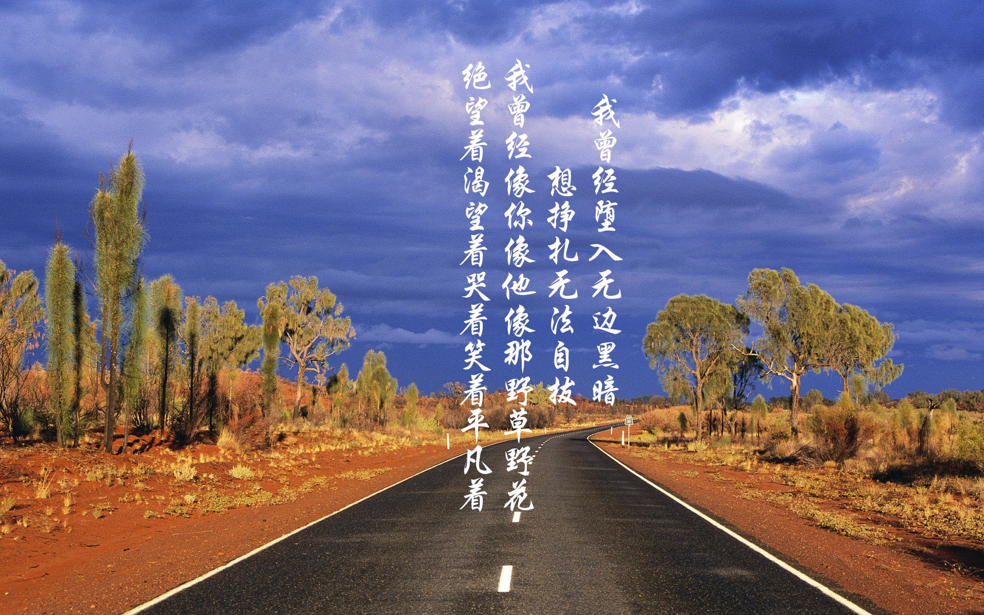 跨国车迷聚会:不同文化的狂欢盛典,中国跨国汽车公司