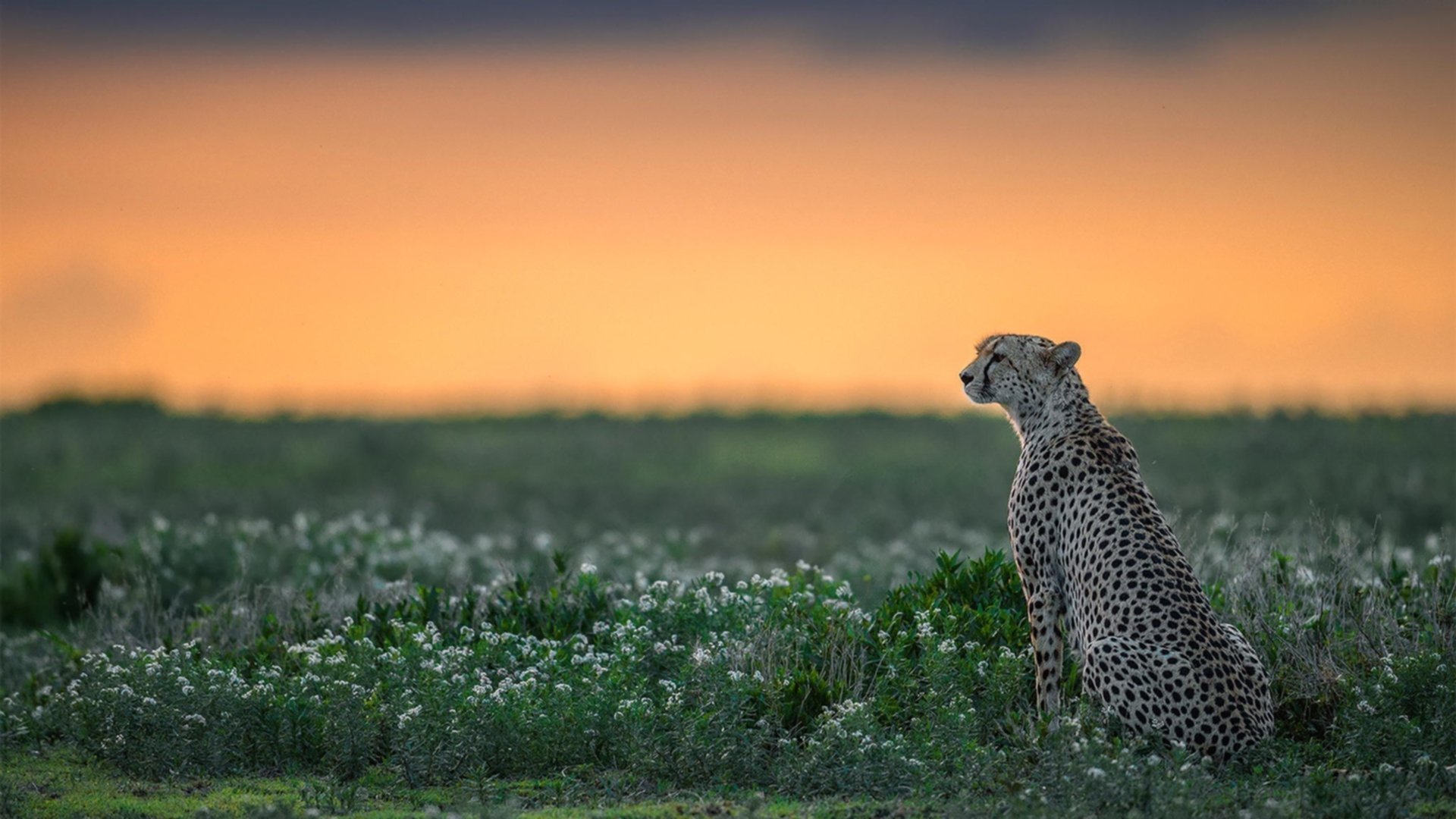 青少年“篮球+舞蹈”跨界演出在广州引起广泛反响,展现青春多元魅力