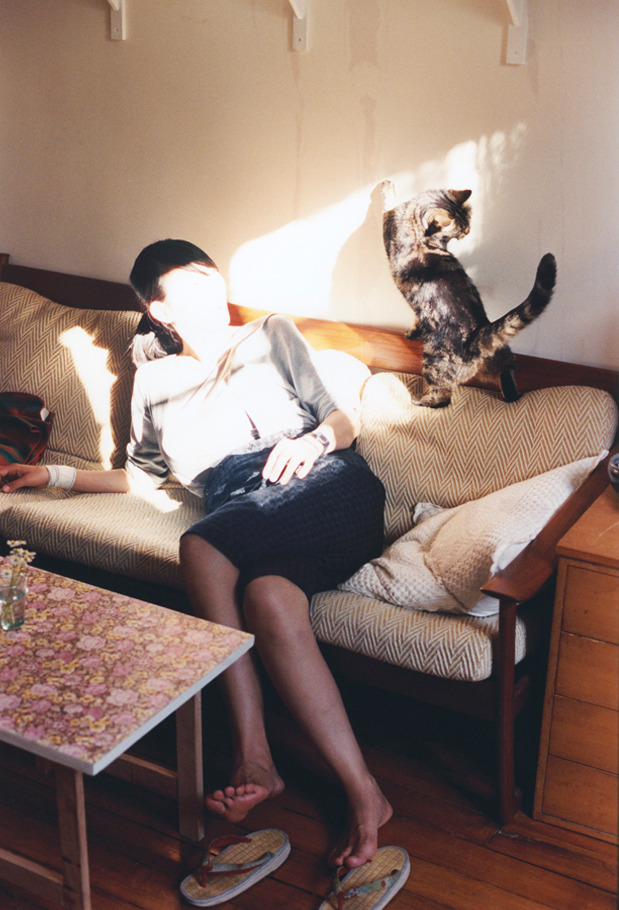 JDG裁判团队提升执裁技术与判罚公正性,裁判员执裁什么意思