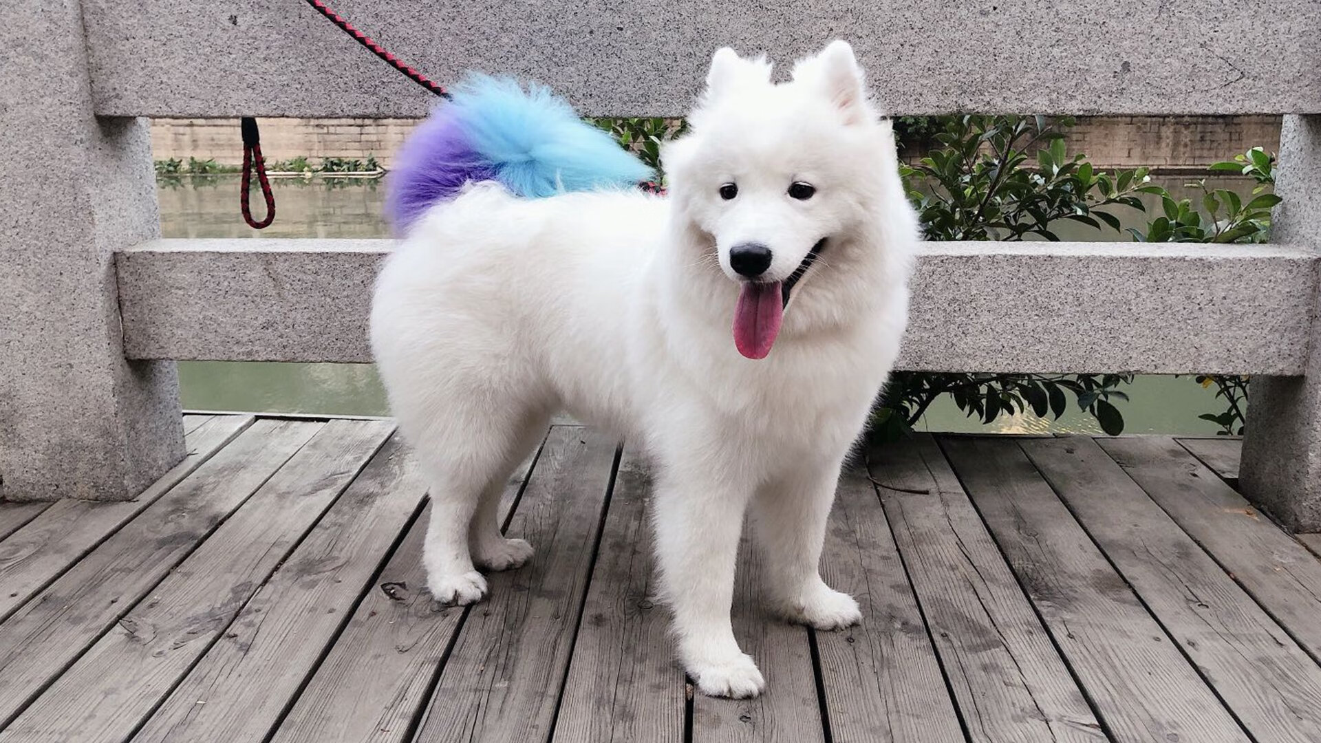 开云官网-J联赛川崎前锋横滨水手备战亚冠，日职联川崎前锋和横滨水手