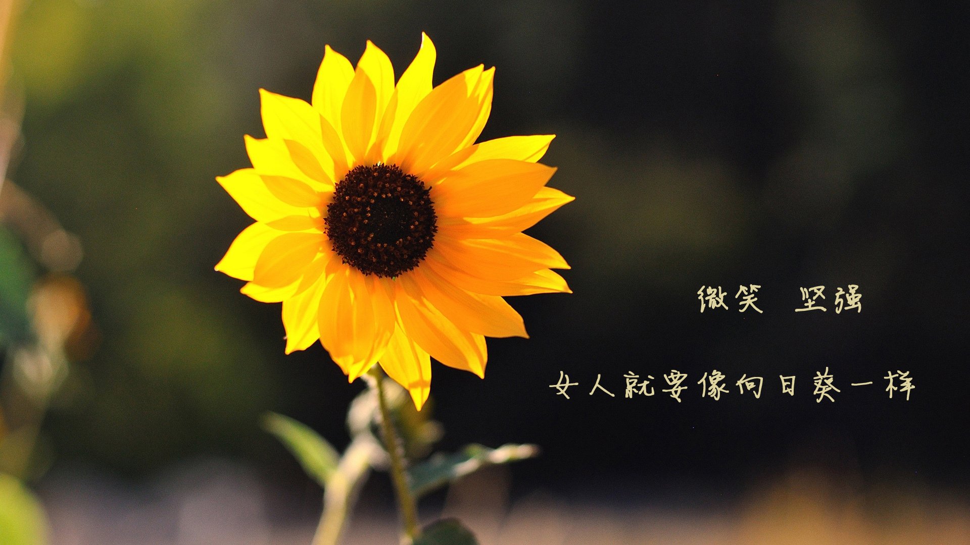 昂热防线表现出色,客场零封对手,昂热是好人吗