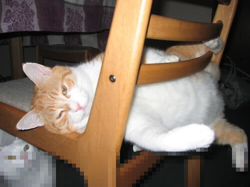 法国足球职业联赛强队呈现实力,争霸正酣,法国足球队强吗