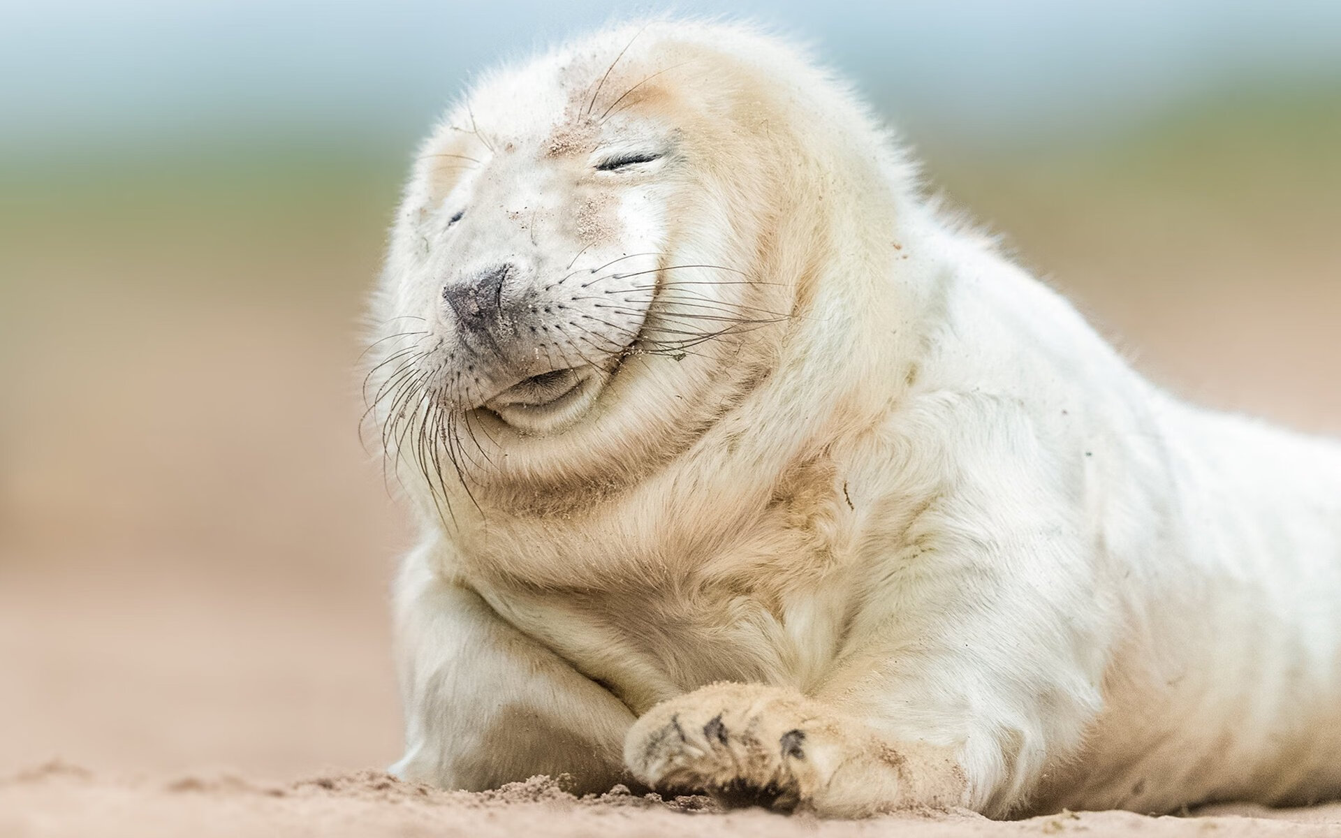 长春亚泰主场力克对手,积分榜排名稍有提升,长春亚泰 主场