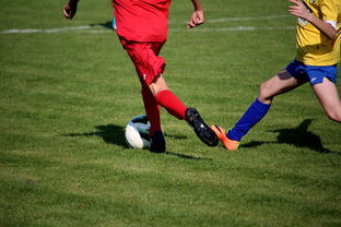 开云官网首页-世界男子排球联赛意大利主场折桂，意大利男子排球联赛直播