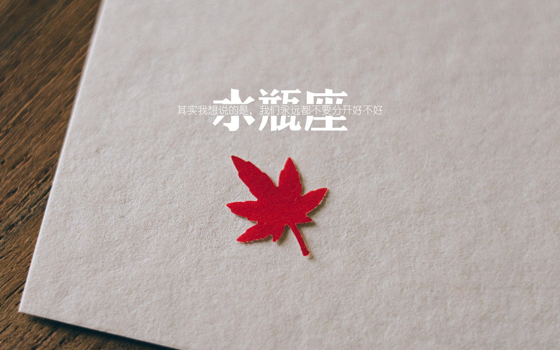 校园体育文化建设对学生心理健康的促进机制分析，校园体育文化的功能有哪些 增强体育和健康意识