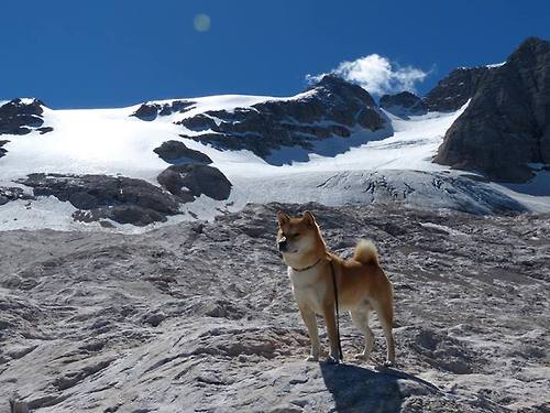 中国女篮在整体协防中提升默契配合,中圄女篮