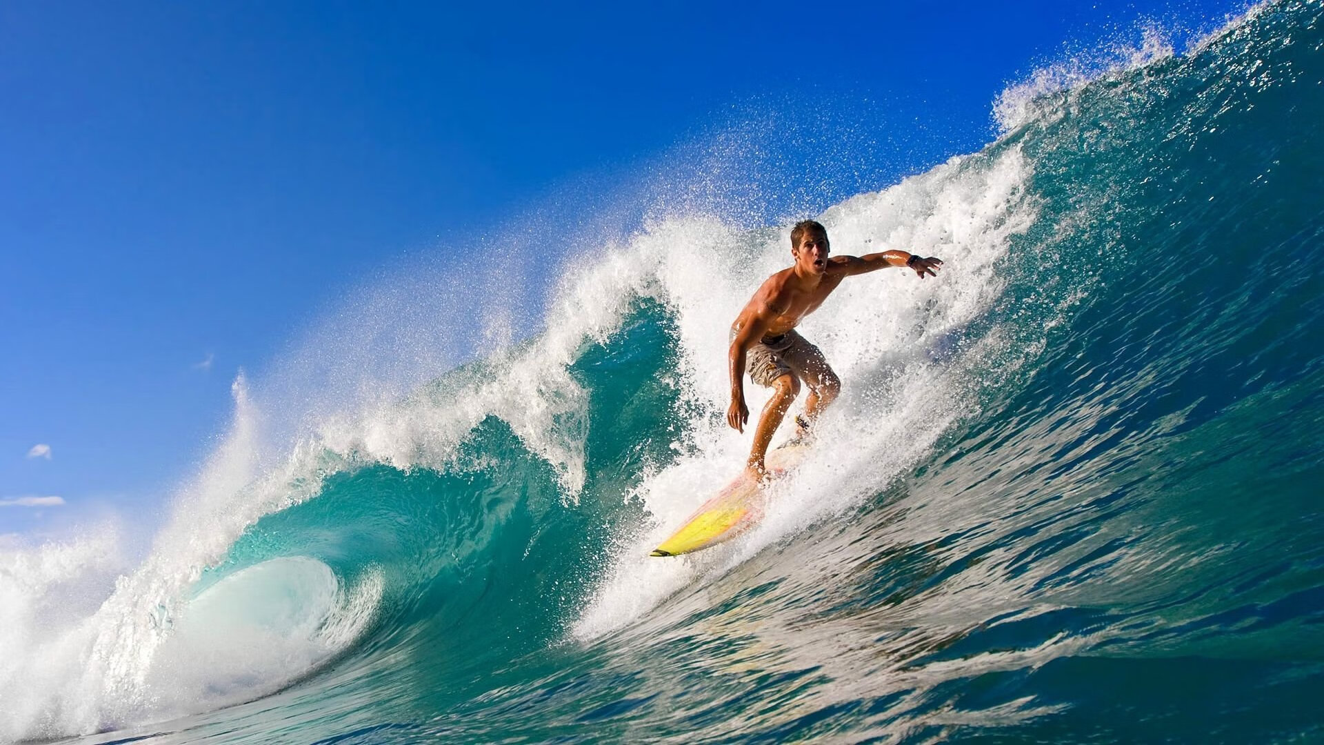 体育新闻中心主办体育新闻行业数字化转型论坛，体育产业数字化创新