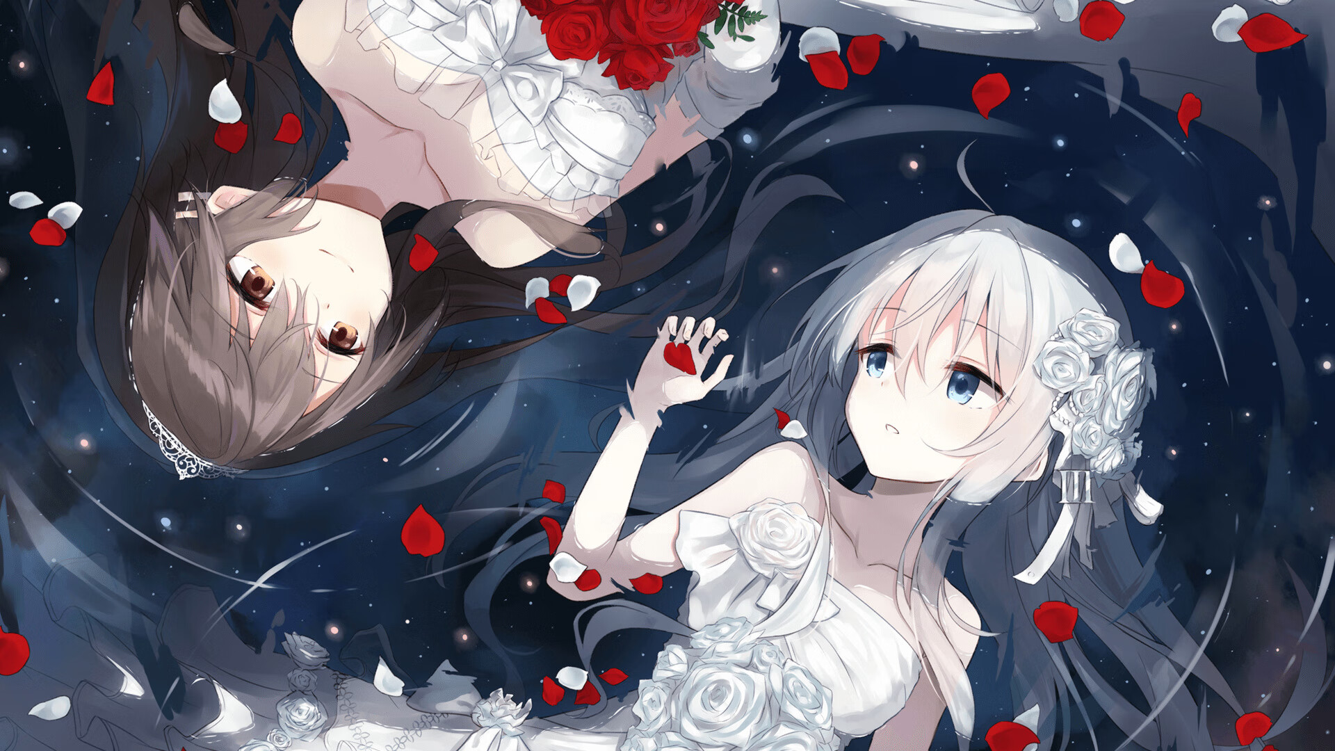 体育新闻中心深化体育短视频内容智能推荐算法，体育短视频的传播特点