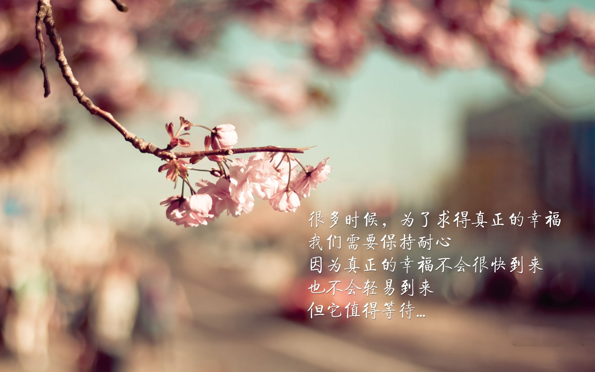 球队进攻选择是否依赖核心球员,球队的核心是哪个位置