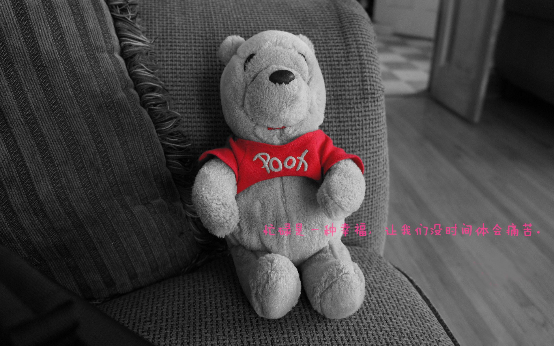 南非橄榄球：成功举办的赛事推动当地经济发展，南非获得橄榄球世界杯