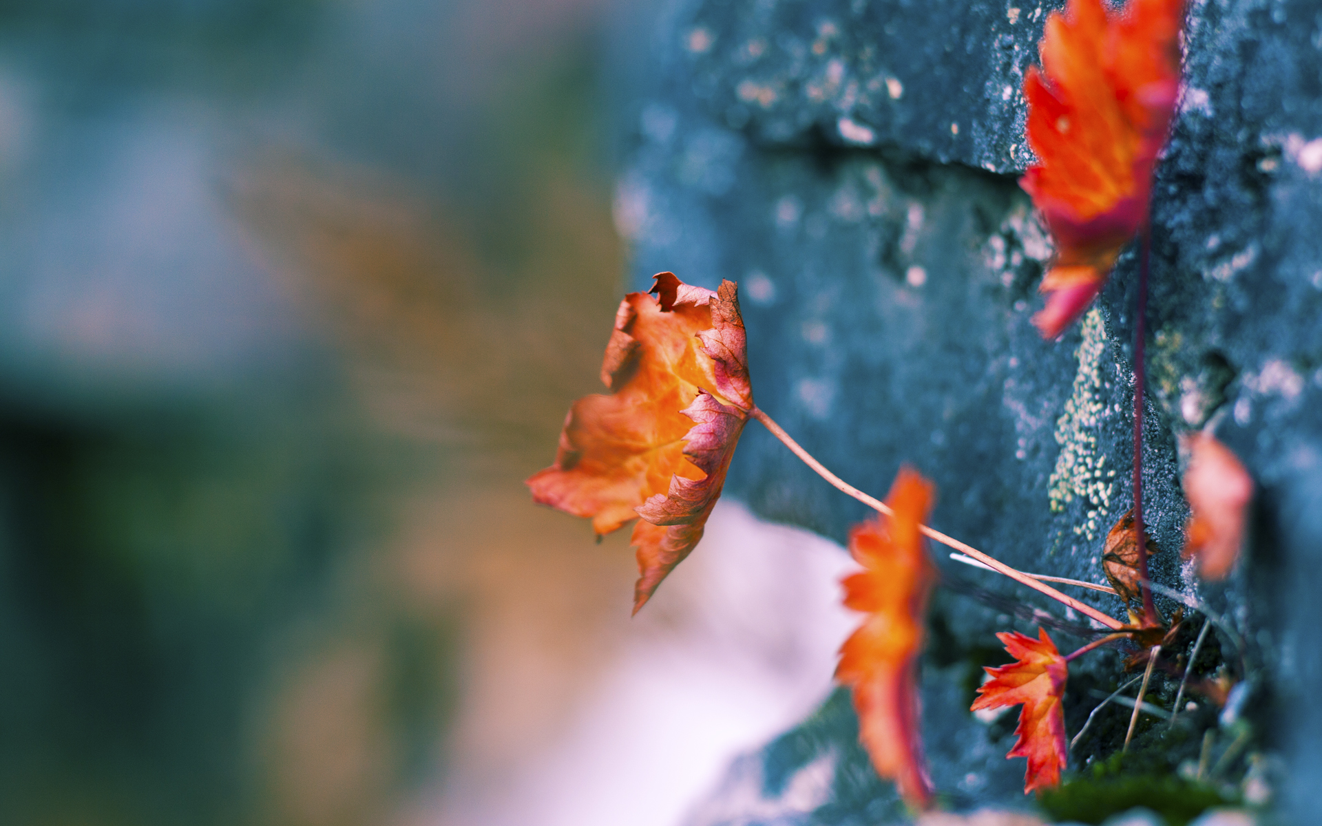 开云体育APP下载-哈登关键挡拆助力快船进攻节奏更快，哈登关键比赛